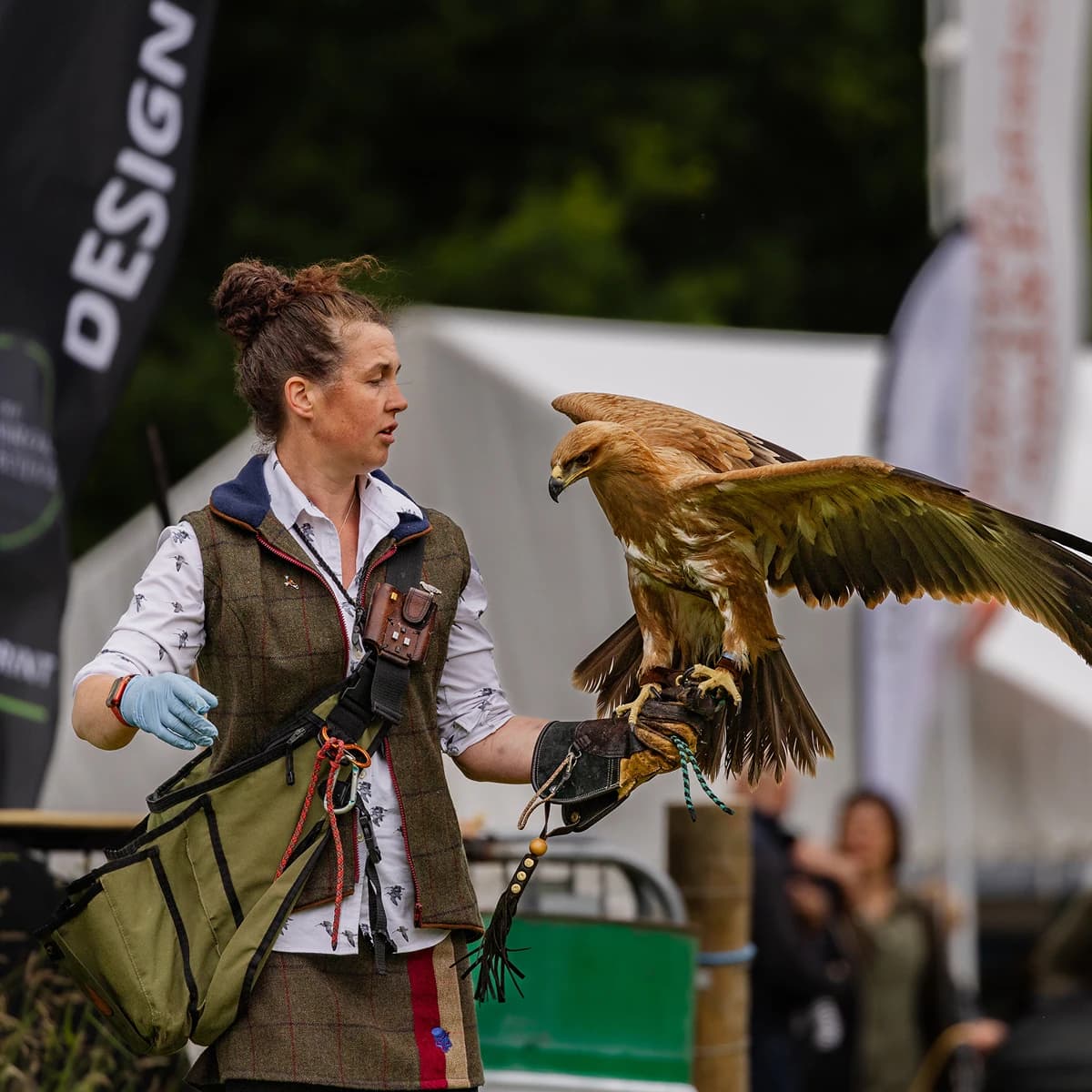 Game Fair