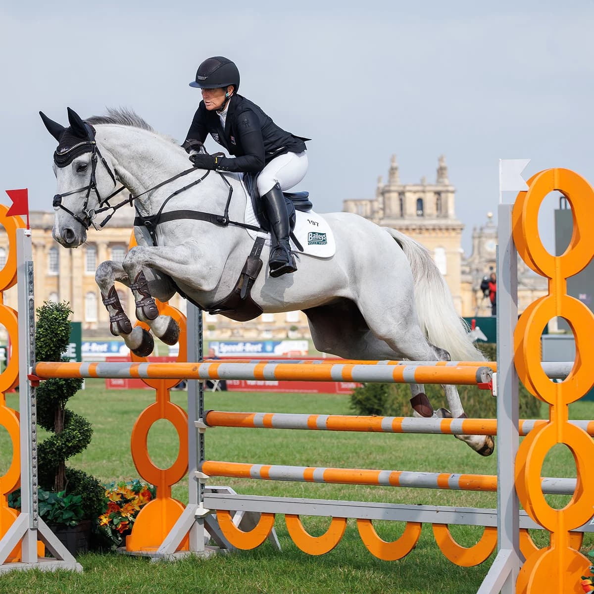Horse jumping over barrier